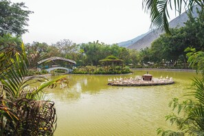 Property grounds - Casa Solaya : Villa with garden, sun and nature : Chaclacayo (Lurigancho-Chosica)