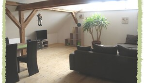 Fernseher, Kamin