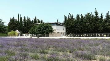 Un bâtiment à l’architecture moderne, entouré d’un champ de lavande, avec une forêt en arrière-plan.