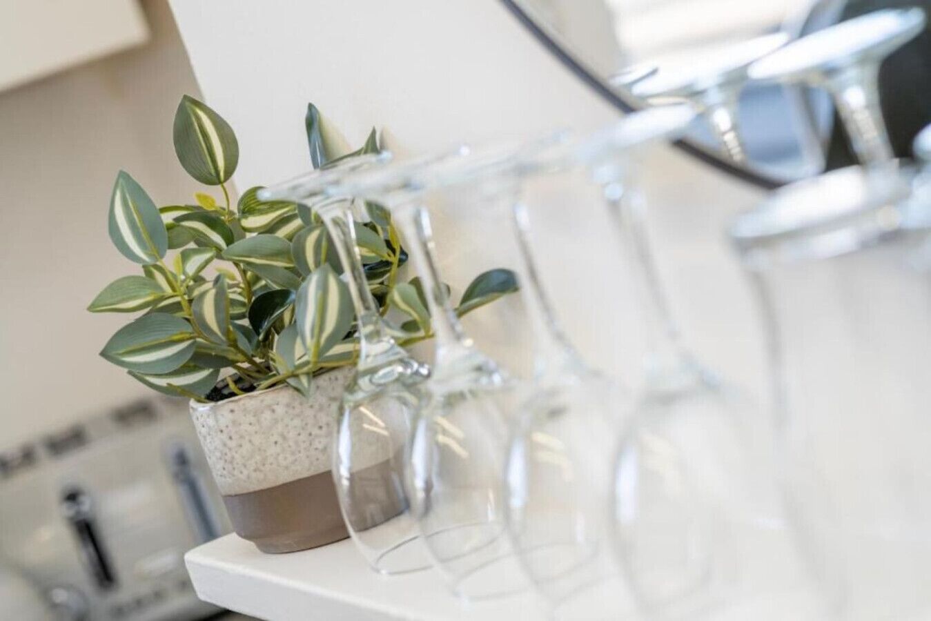 A kitchen with a potted plant on a countertop, a glass cabinet, and a white appliance.