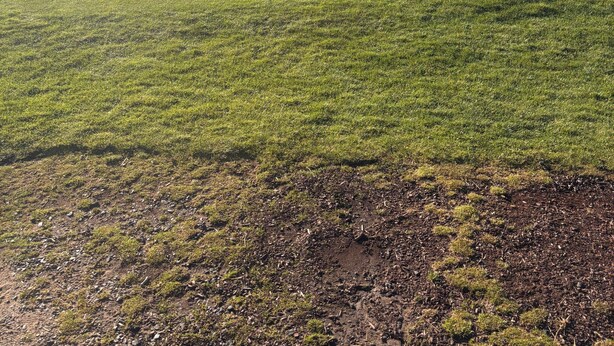Ein Golfplatz mit einer Fahne, Bäumen und einem Wasserhindernis im Hintergrund.