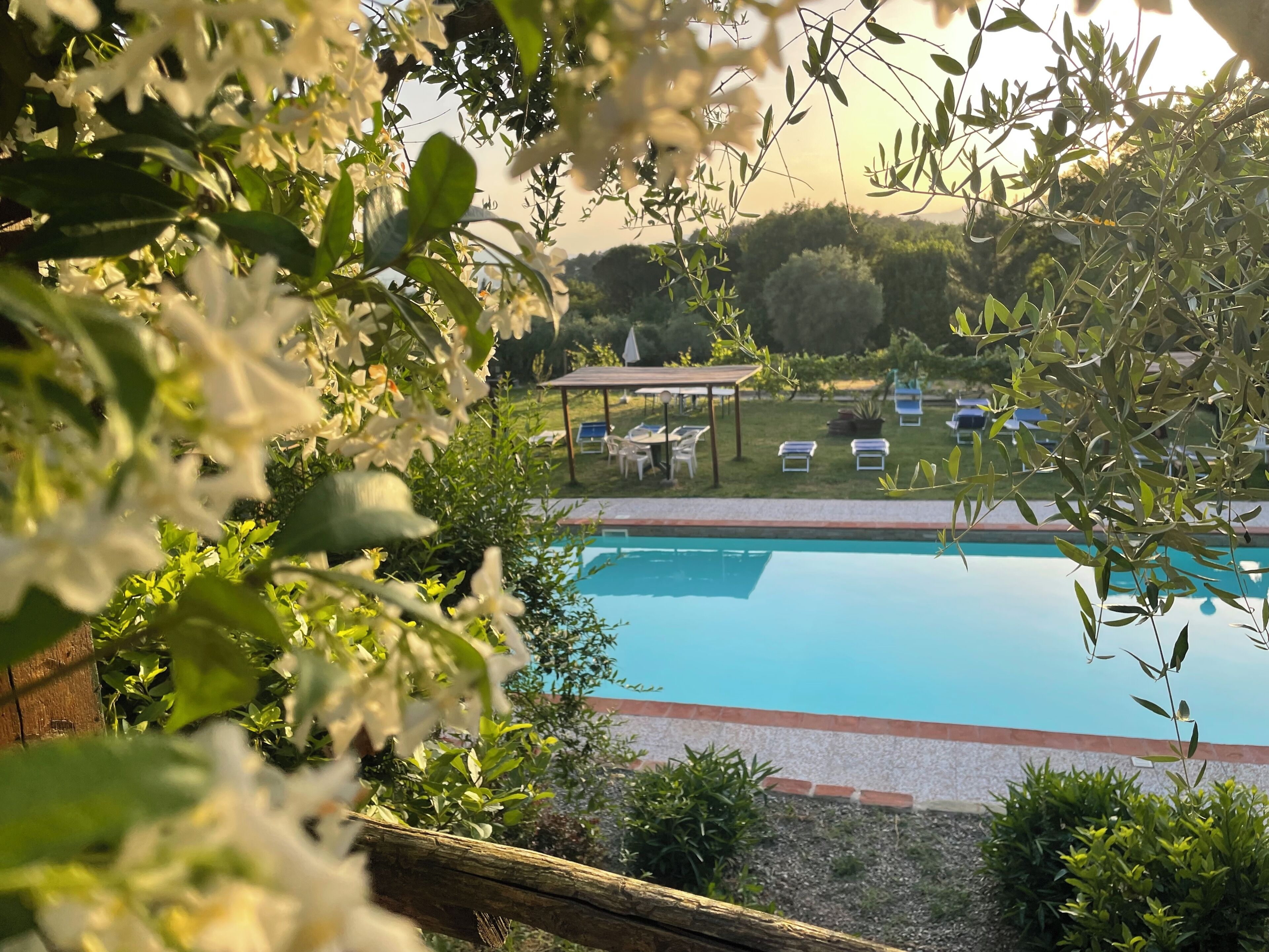 Piscine extérieure