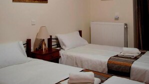 A room with two beds, a wooden ceiling, a painting on the wall, and a radiator. - Xenon Achladokampos (Argos-Mykines)