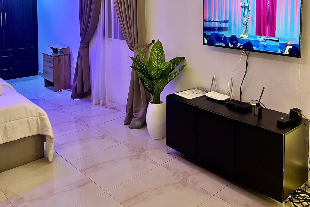 A modern hotel room with a bed, a TV, a plant, a black console, and an air conditioning unit.