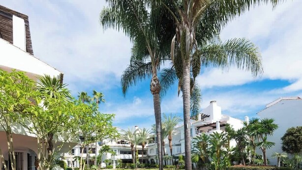 Una piscina rodeada de palmeras y un edificio blanco con balcones.