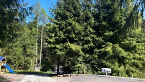 Uma área de estacionamento com uma placa indicando 'Gäste' (hóspedes), rodeada por uma floresta densa e um parquinho infantil com um escorrega azul.