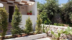 Un edificio moderno con techo a cuadros, pared de piedra y diversas plantas, incluyendo cactus y árboles pequeños.