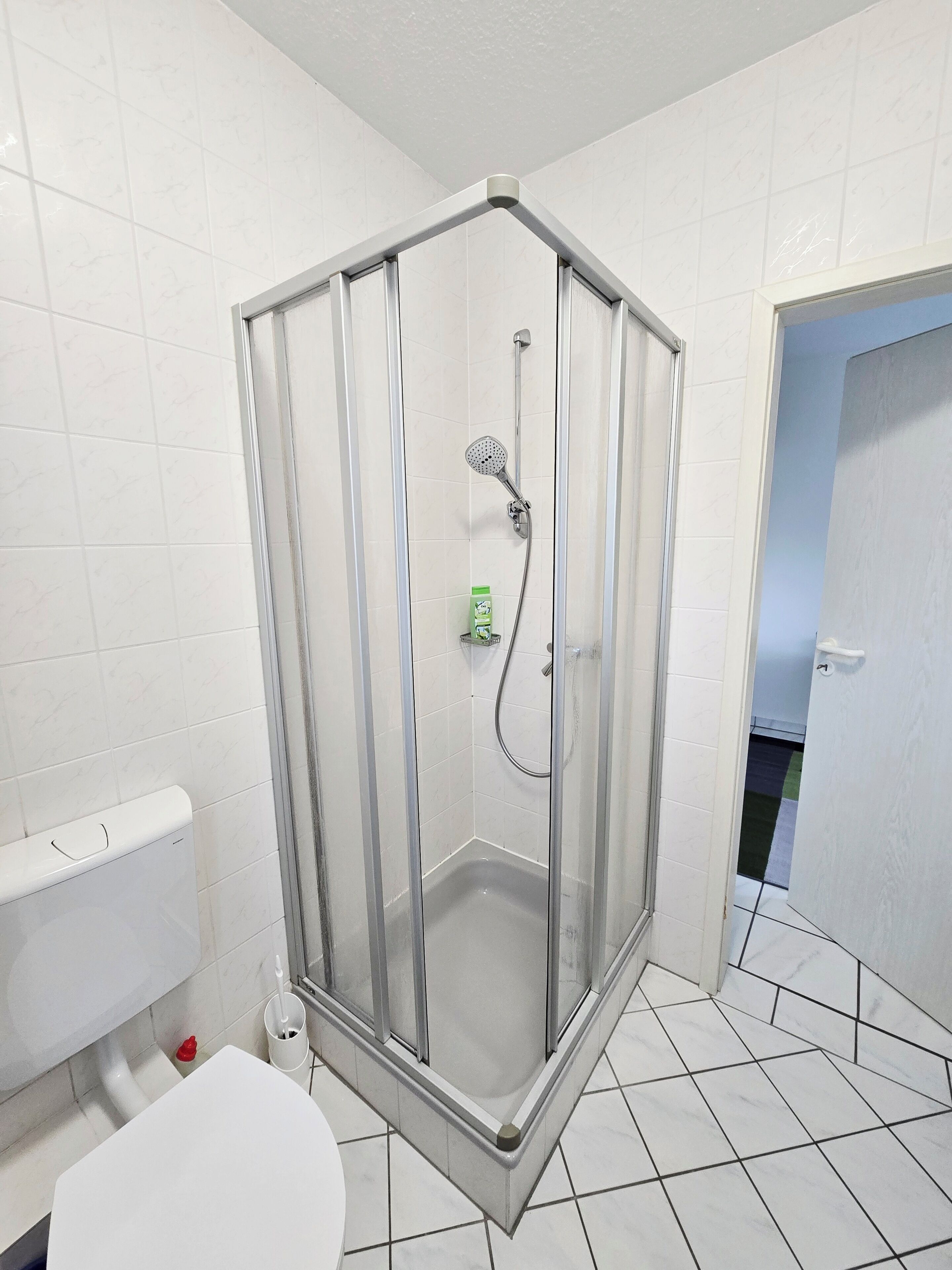 A shower enclosure with a glass door, a handheld showerhead, and a handheld showerhead with a spray nozzle.