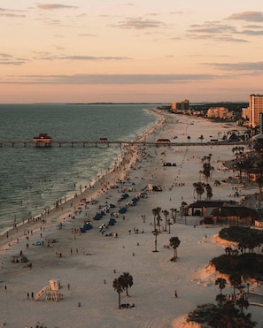 A beach with a pier extending into the water, a sandy shore lined with palm trees, and buildings in the background. - Clean Central Location 3-bedroom 2 Bath house Palm Harbor 1 Block to Starbucks (Palm Harbor)