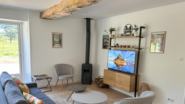 Smart-TV, Bücher