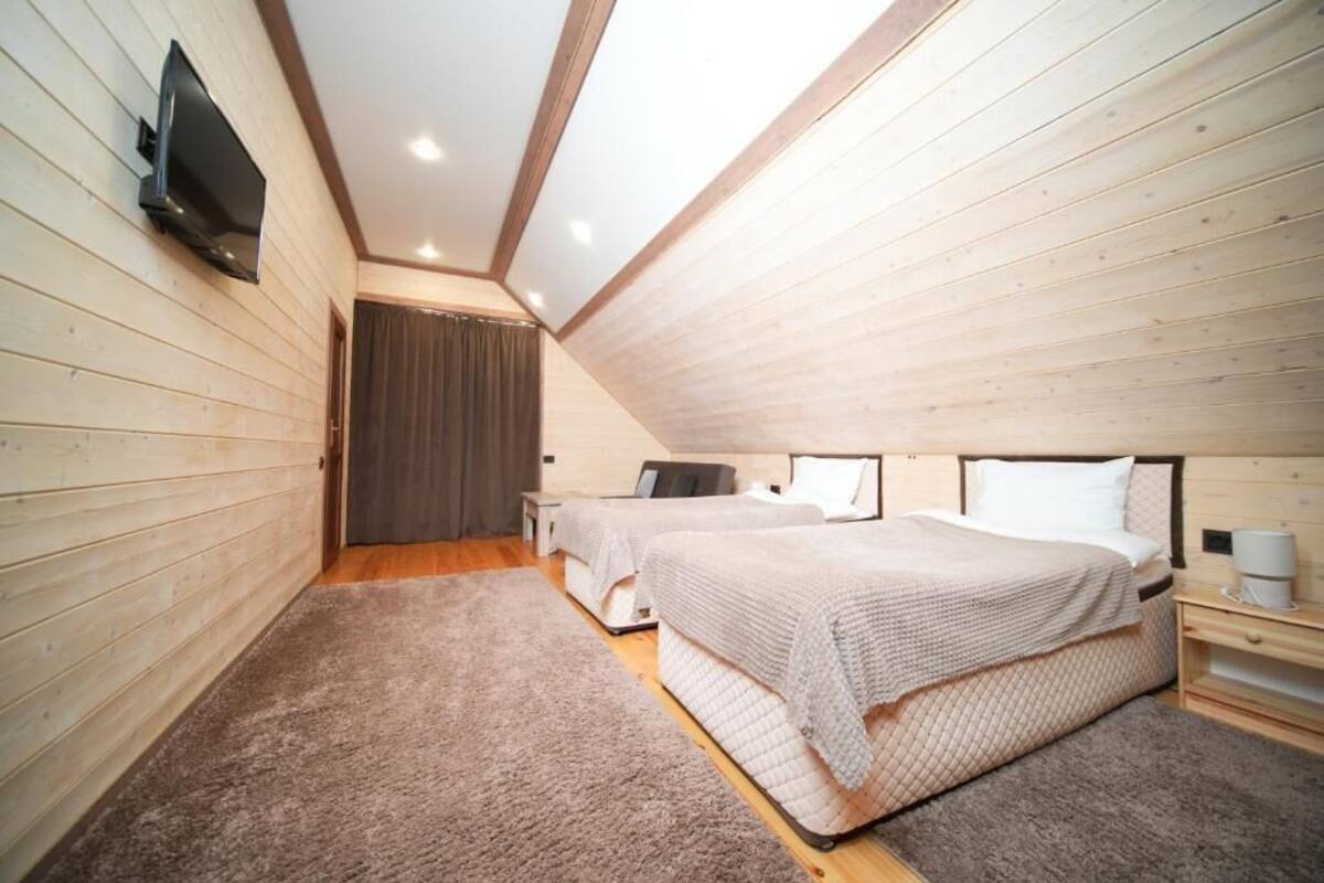 A bedroom with two beds, a TV, and a ceiling light.
