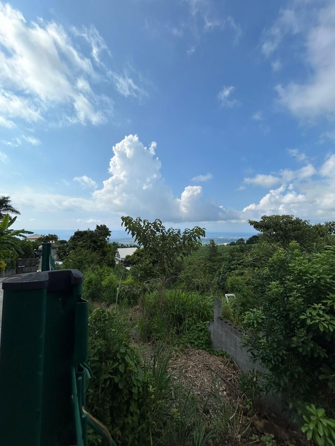 A lush green landscape with a clear sky and a view of the ocean.