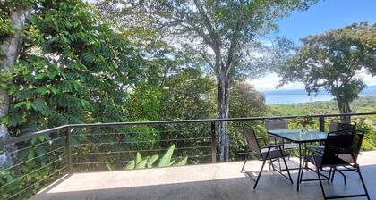 Quaint 2-bedroom villa with AC in beautiful Pavones,check waves or watch birds.