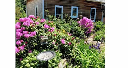 Cozy 3-bedroom home in Belfast Maine, with Beach Access