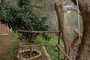 Property grounds - Aury House – Sea and Nature in Ieranto (Massalubrense)