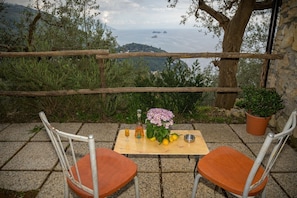 A table with chairs, a vase with flowers, lemons, a glass, and a bottle. - Aury House – Sea and Nature in Ieranto (Massalubrense)