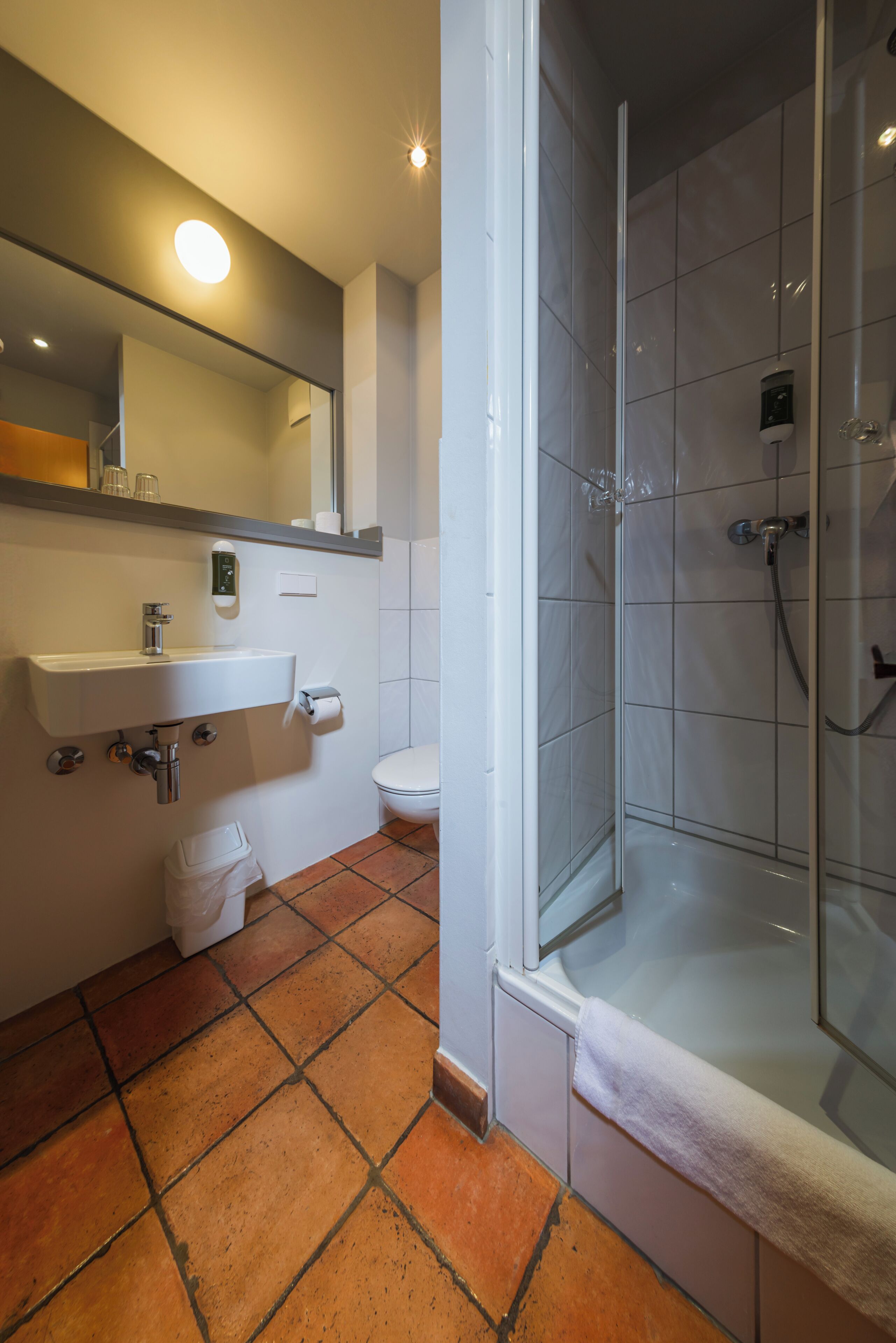 Une salle de bain avec un lavabo, des toilettes et une douche.