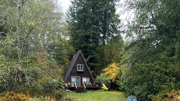 Een houten steiger die leidt naar een huis, omgeven door bomen en een beekje.