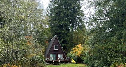 Cozy Lakefront Cabin "Swallows Nest"