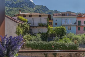 1 habitación 