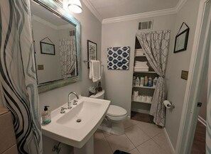 Bathroom - World Cup Ready!  2-bedroom apartment with AC in awesome Atlanta neighborhood (Atlanta)