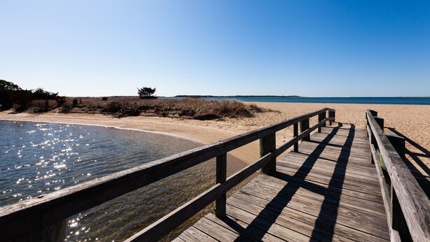 En träpromenad som leder till en strand med klart vatten och en klar himmel.
