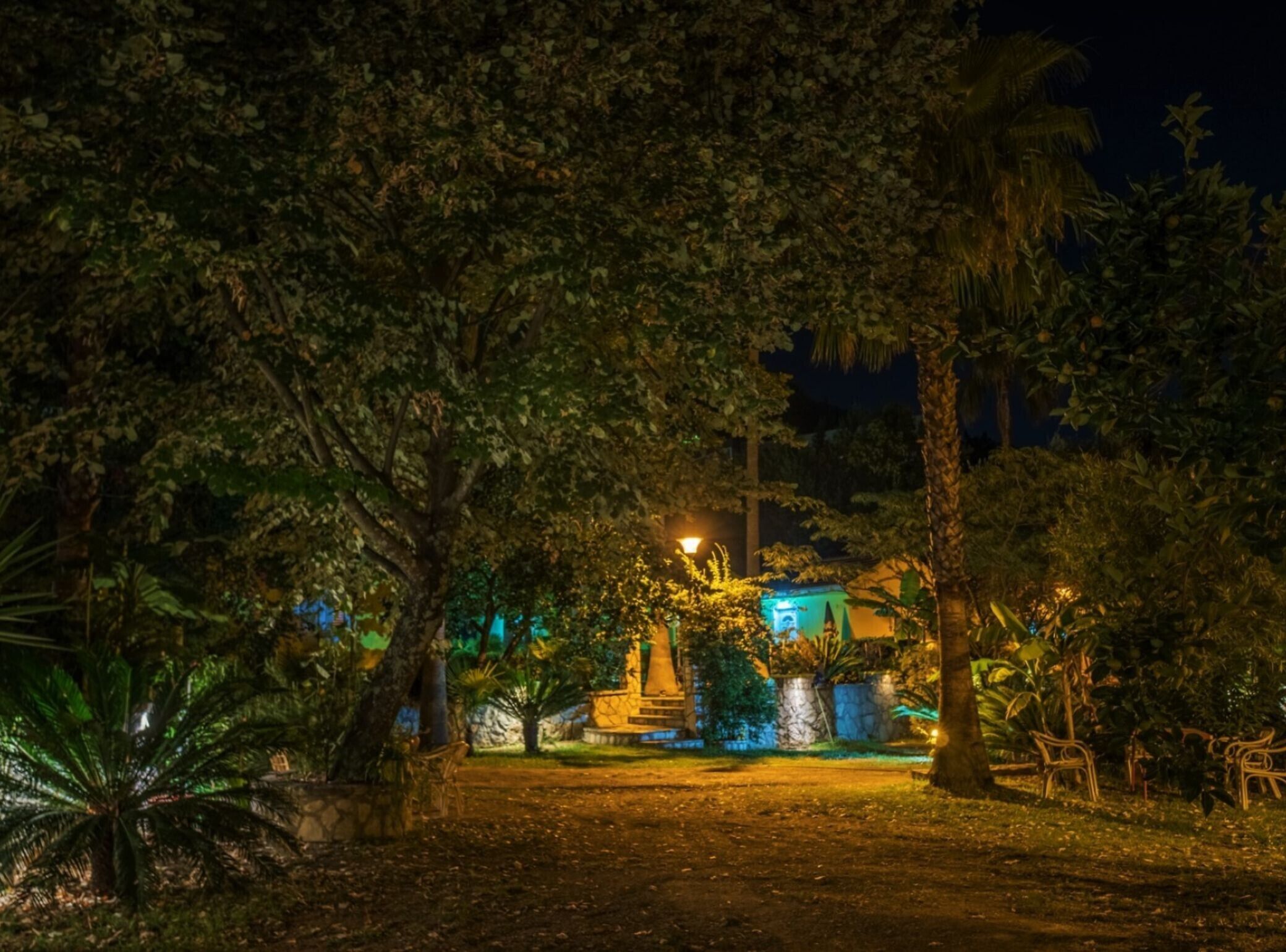 Une vue nocturne d’un jardin avec un sentier menant à un bâtiment, entouré d’arbres et éclairé par des lampadaires.