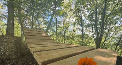 Recharge your batteries in the forest, cocooning self-catering cottage with free-roaming rabbits!