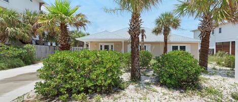 A residential area with a house, palm trees, and a sandy ground.