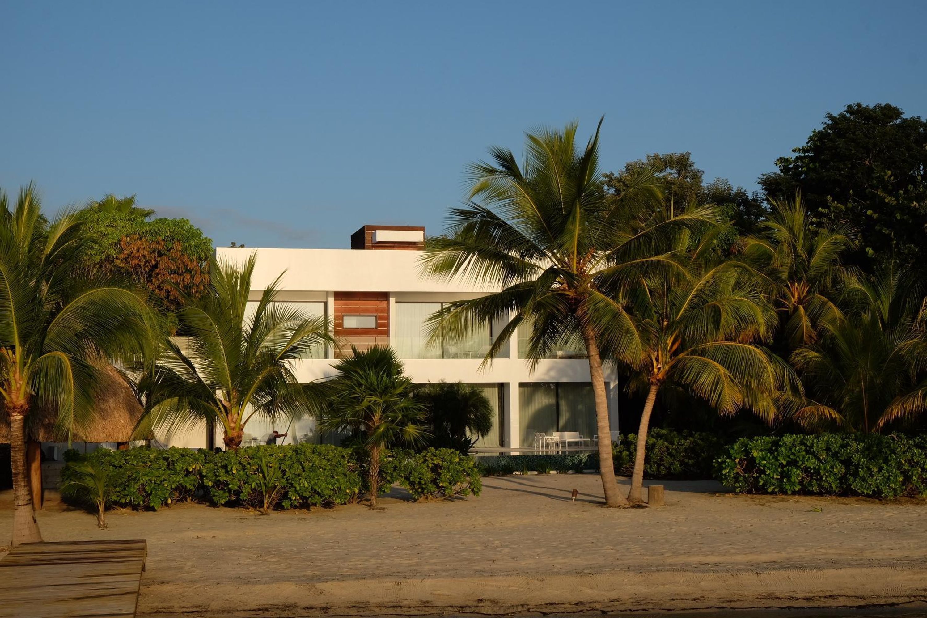 Un edificio moderno con techo plano, rodeado de palmeras y follaje.