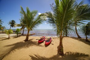 House | 4 bedrooms - Villa Armoniosa - Stunning 4BR Beachfront Villa w Pool Ocean Views (Placencia)