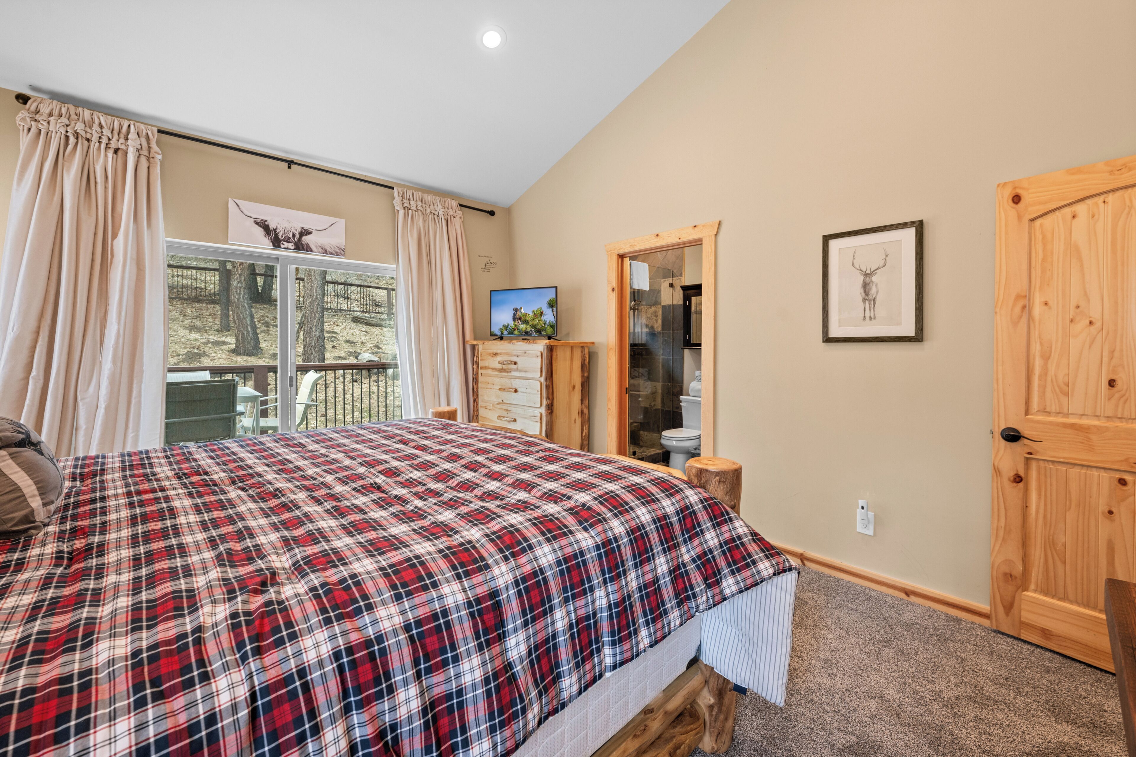 A bedroom with a plaid bedspread, a television, a framed picture, and a wooden door.