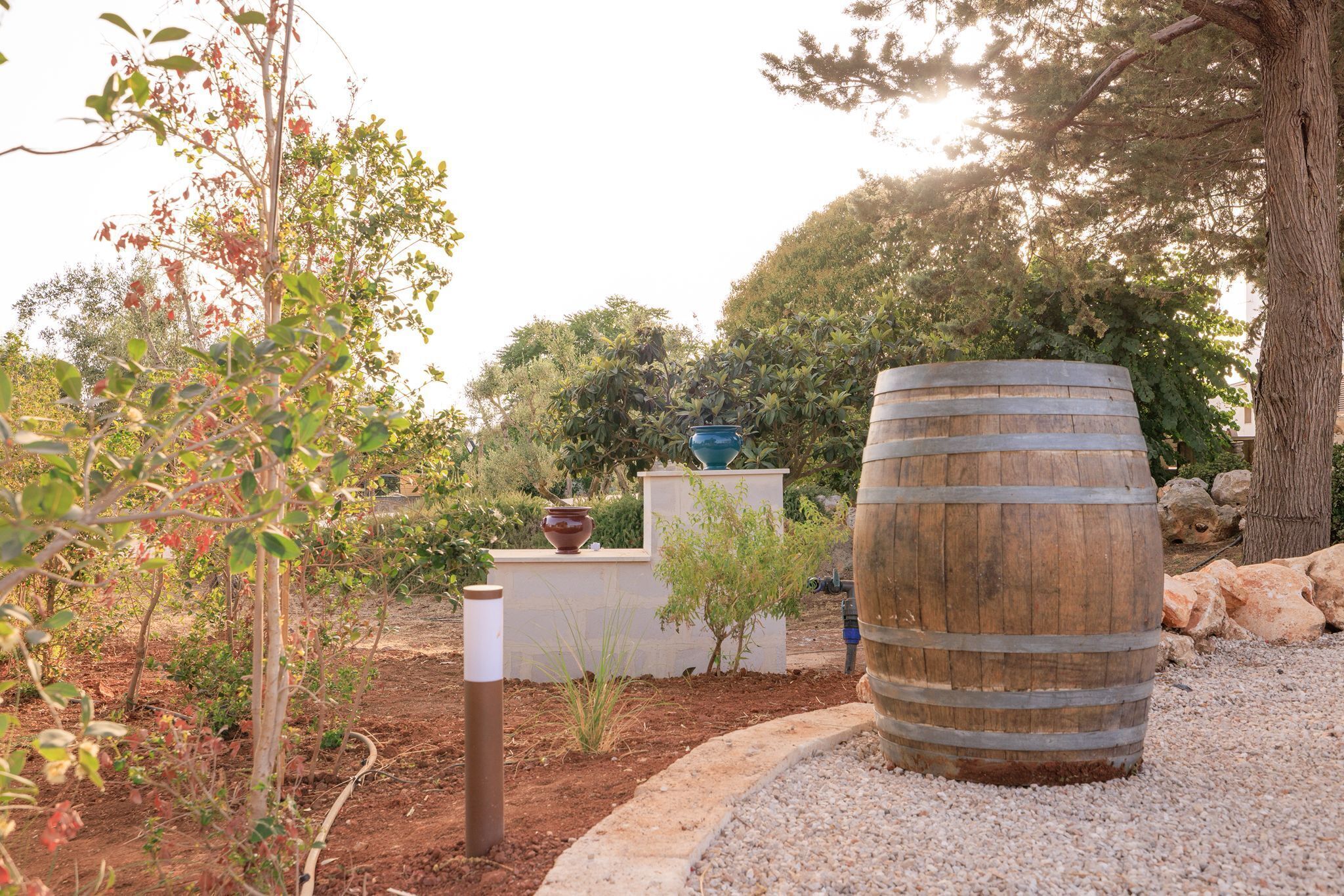 Àrea exterior de l'allotjament