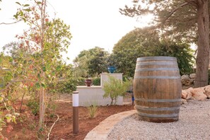 Property grounds - MASSERIA IL VIGNALE (Ostuni)