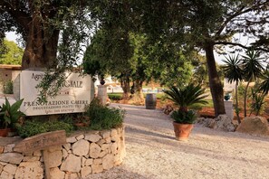 Property grounds - MASSERIA IL VIGNALE (OSTUNI)