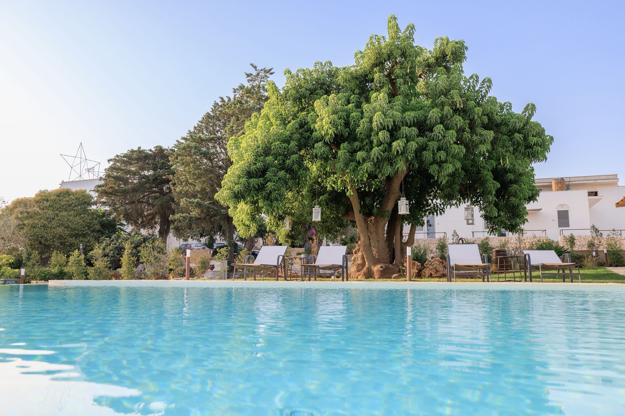 Une piscine avec des chaises longues et un grand arbre en arrière-plan.
