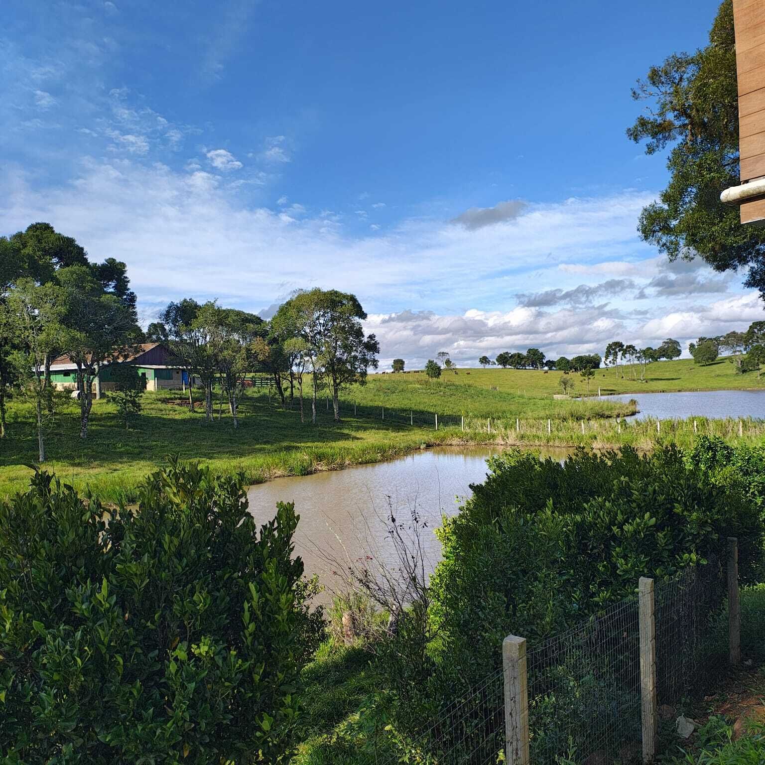 Paisagem rural com um lago, campos verdes e algumas casas.