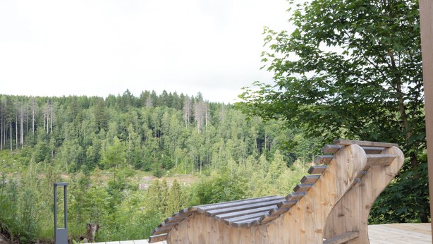 Eine Holzbank mit gebogener Rückenlehne auf einer Holzterrasse mit Blick auf einen bewaldeten Hang.