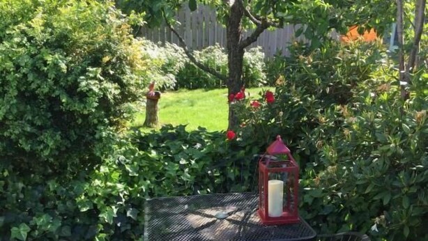 A garden patio with a table and chairs, surrounded by lush greenery and a wooden fence. - The Kirkhouse Bed and Breakfast (Friday Harbor)