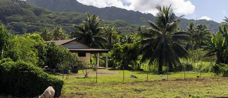 Un paisaje rural con una casa, ovejas pastando y vegetación exuberante.
