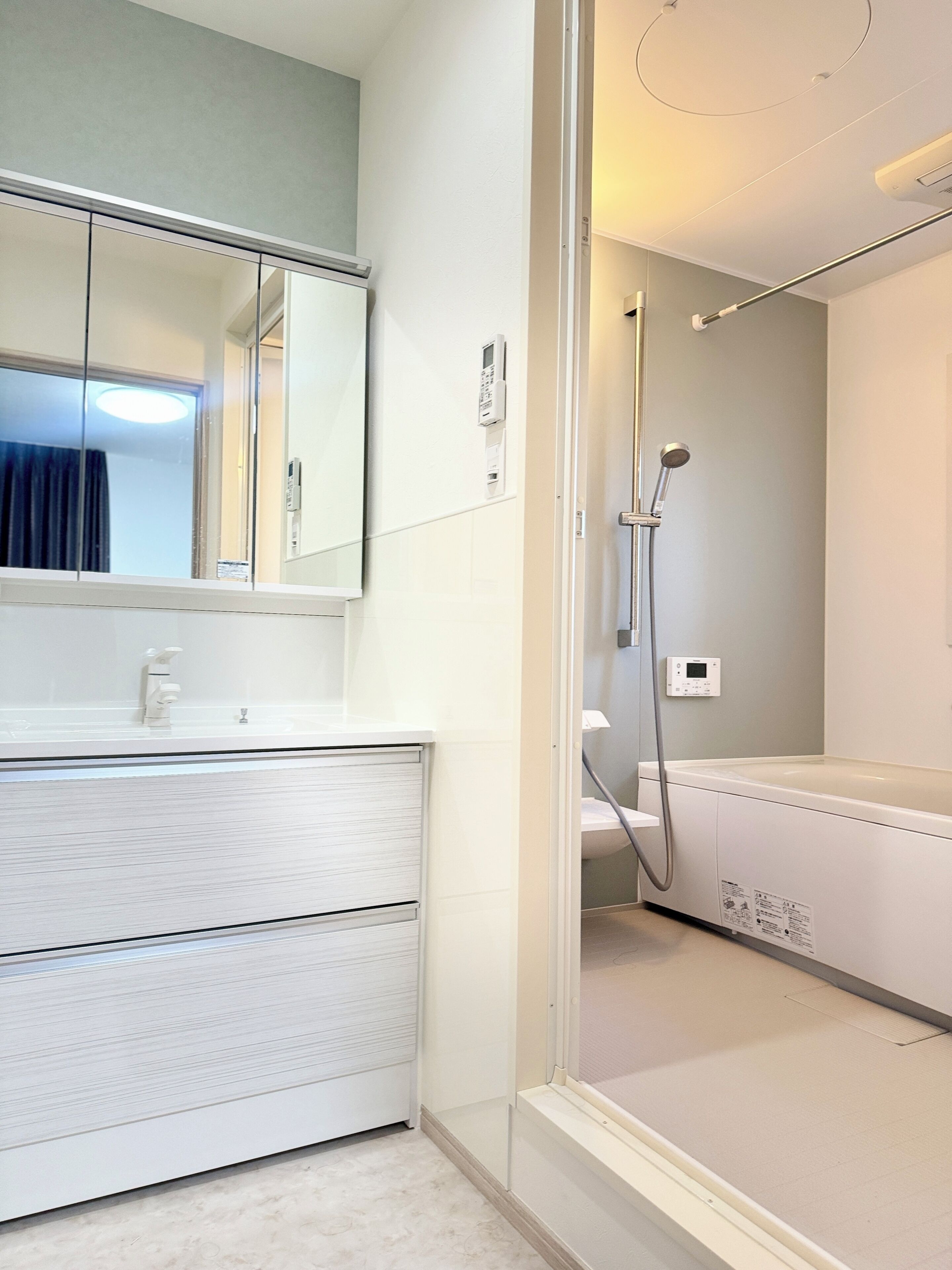 Shower, hair dryer, bidet