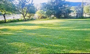Property grounds - IL GELSO Country house on two floors with swimming pool (Bucine)