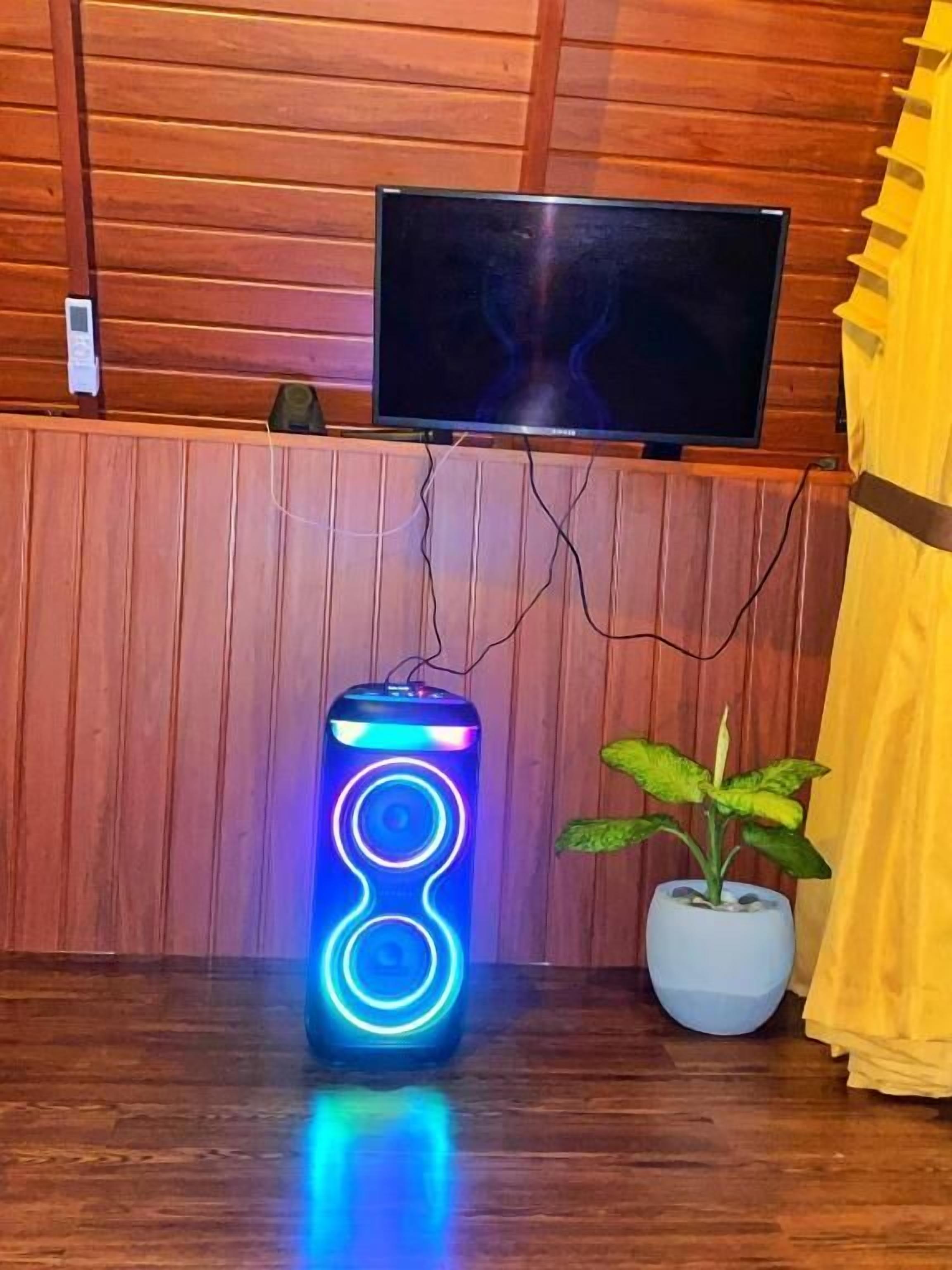 A room with a television mounted on a wooden wall, a can-shaped speaker with blue lights, and a potted plant.