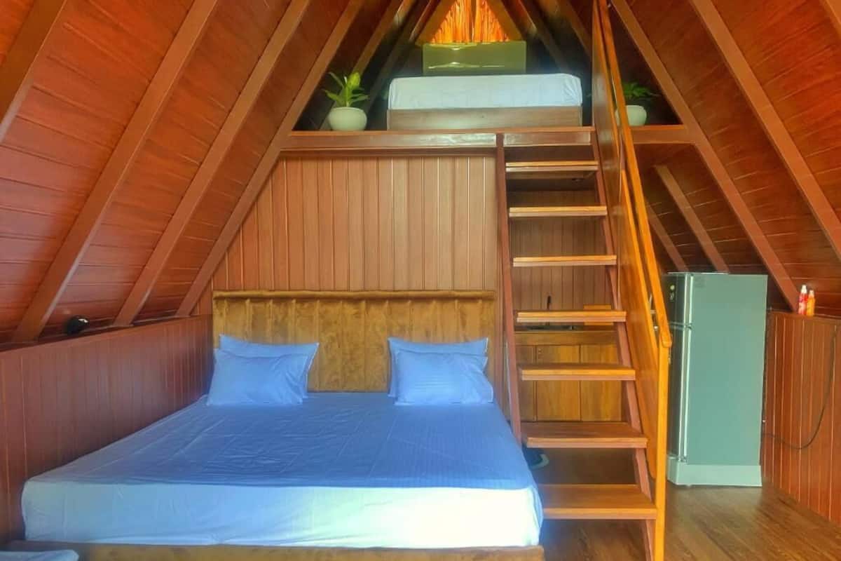 A loft-style bedroom with a bunk bed, a ladder, a small refrigerator, and a potted plant.