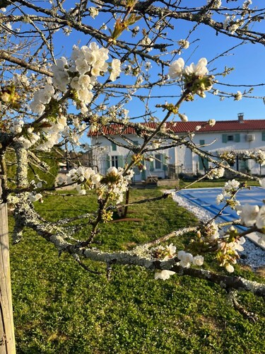 Gîte ensoleillé 4 étoiles avec piscine, un havre de paix idéal pour familles!