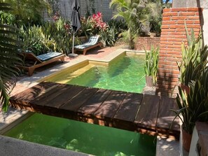 Pool - Amazing Unique Casita - Studio with loft, in Sayulita just blocks from the beach (Sayulita)