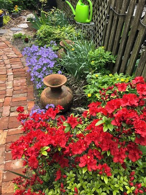 Detalle del exterior