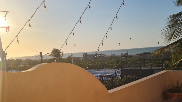 Une terrasse sur le toit, illuminée de guirlandes lumineuses, avec vue sur la mer et un palmier.