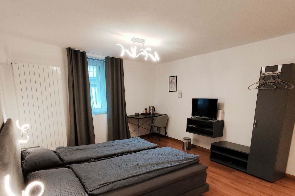 Un dormitorio moderno con sofá cama, escritorio, televisor y armario.