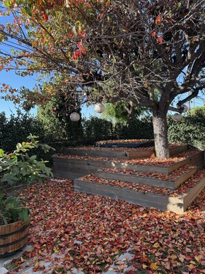 Property grounds - Cozy South Bay Retreat (Torrance)